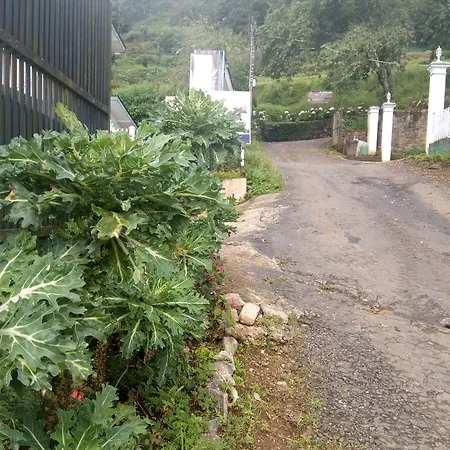Oviya Guest Nuwara Eliya