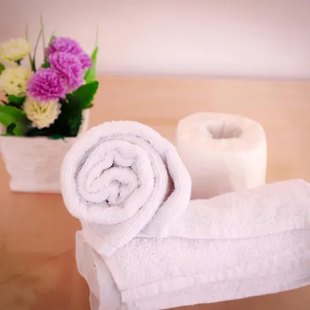 Oviya Guest Inn 3*