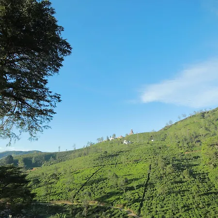 Single Tree Mount Hotel Nuwara Eliya