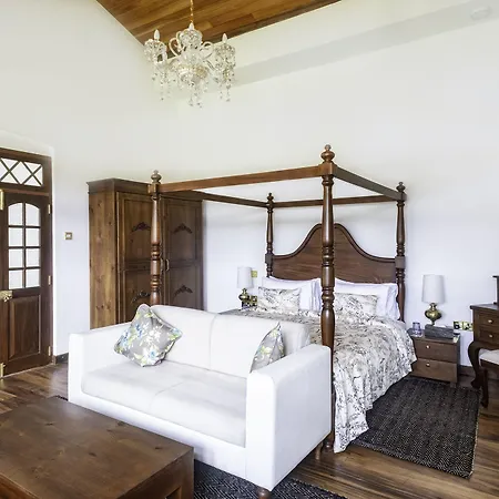 W15 Gregory Nuwara Eliya