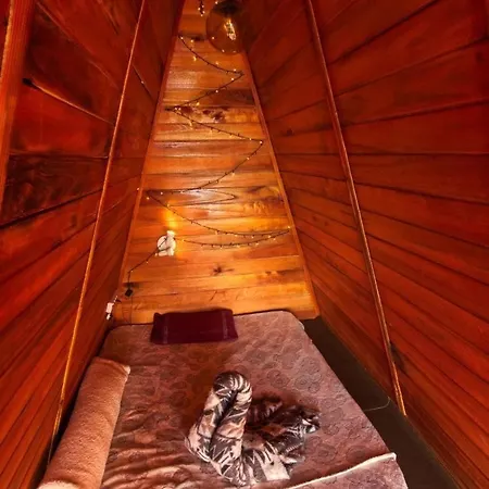 Skyridge Twilight Chalet *