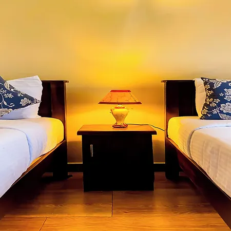 Summer Glow Guest -