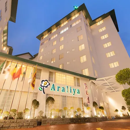 Araliya Red - Budget Friendly Hotel- Where Find Stunning 360 Panoramic View Of Nuwara Eliya
