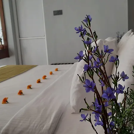 Hotel Tea Mount Forest 3*