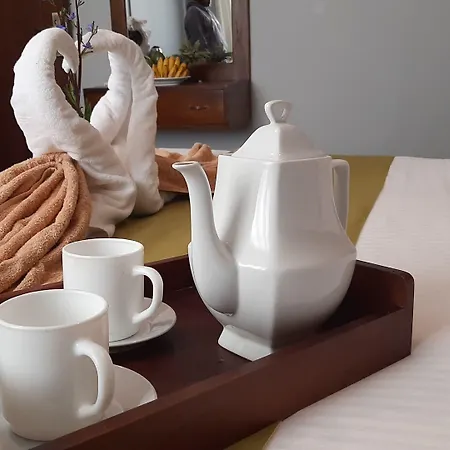 Hotel Tea Mount Forest 3*