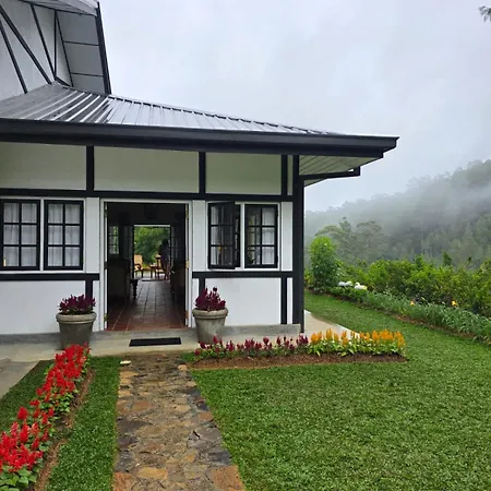Powysland Villa