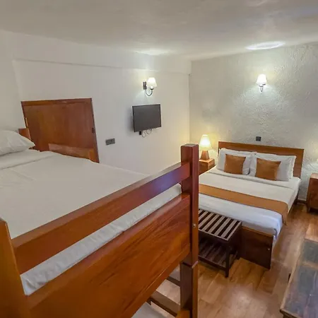 Grace Guest house 3*
