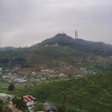 Mount View *