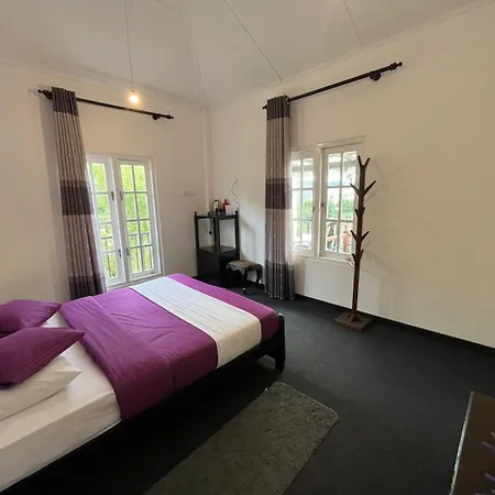Hotel Lavender