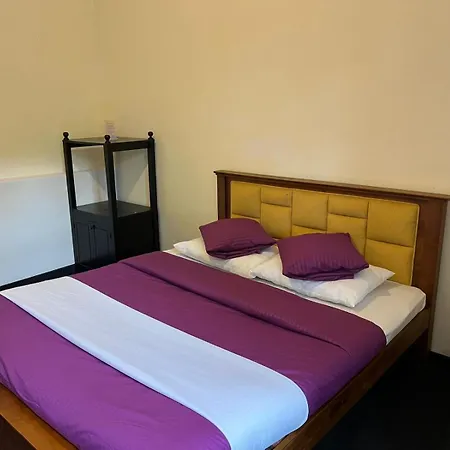 Lavender Nuwara Eliya