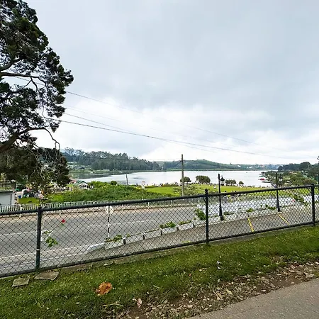 Queens Gregory - Nuwara Eliya