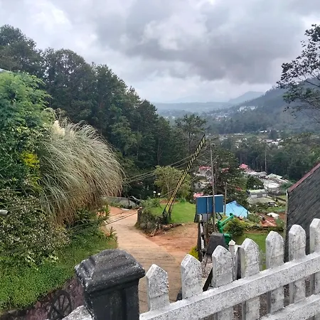 Mount View *