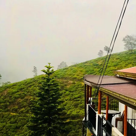 View Homestay