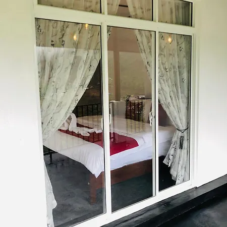 View Homestay *
