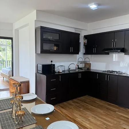 Apartment Nomentano Blue -luxury Apartments- Nuwara Eliya