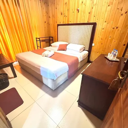 Single Tree Hotel