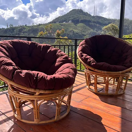 Seeming Nuwara Eliya