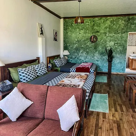 Guest house Medalin Gregory 3*