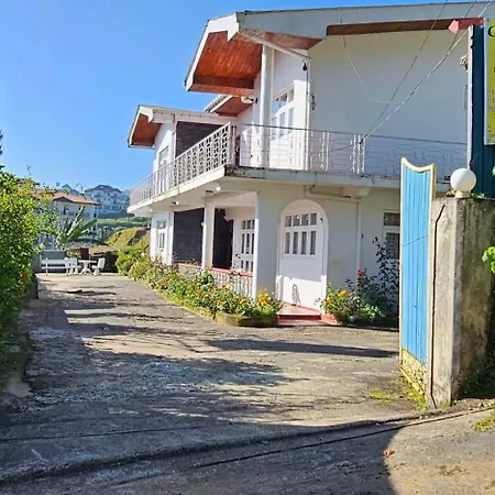 Olive Grand Guest house 3*