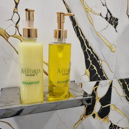 Astoria Hotel 3*