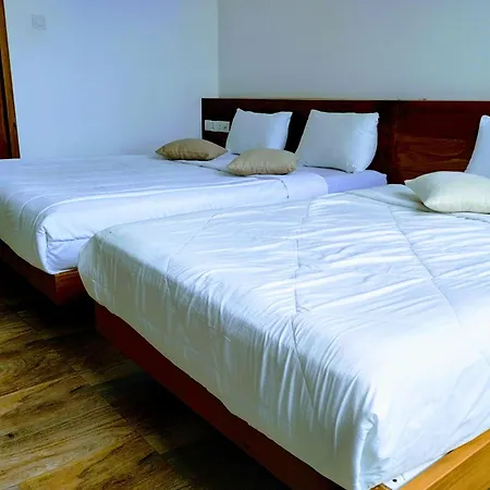 Hotel New Pensive 3*