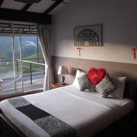 Hotel Mount View 3*