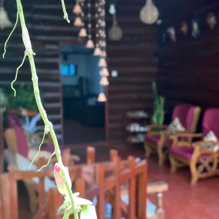 Guest house Twinkle Nuwara Eliya