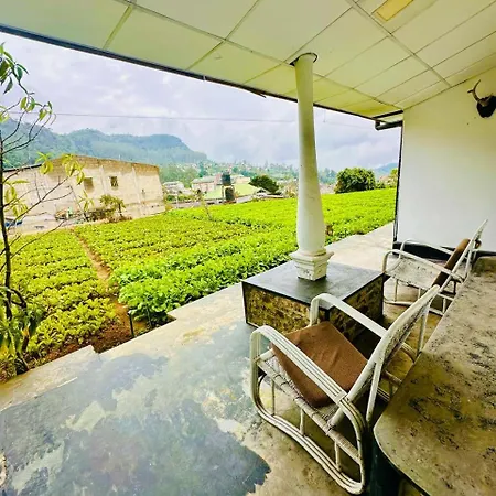 Hotel Silver Meir