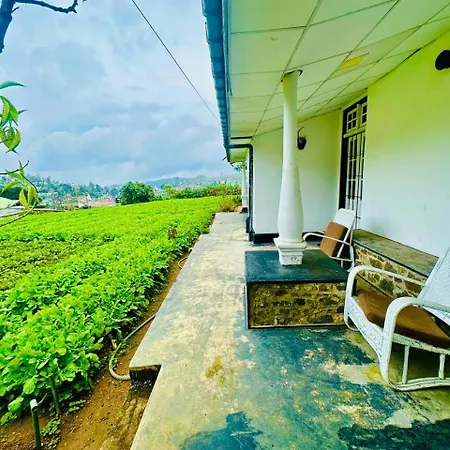 Hotel Silver Meir *