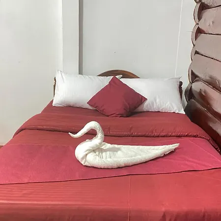 Guest house Twinkle
