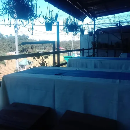 Ambewela Pattipola Snowflak Rest Bed & Breakfast
