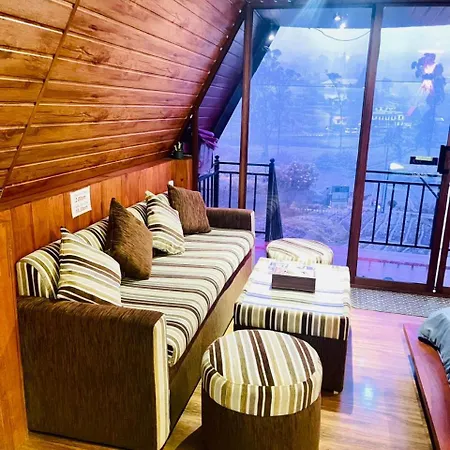 Brown - * Nuwara Eliya