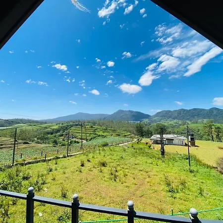 Freedom Peak Ambewela *
