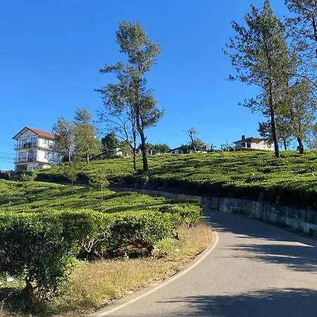 Twinkle Nuwara Eliya
