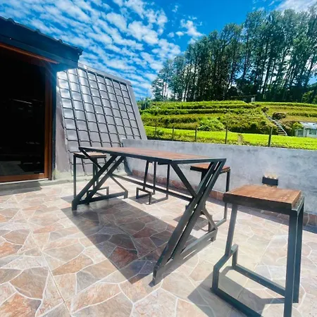 Brown - Chalet Nuwara Eliya