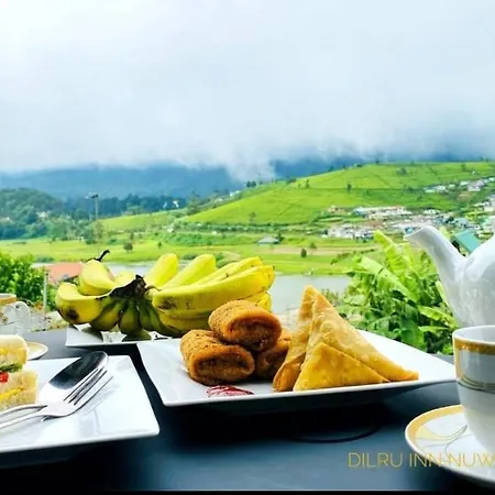 Dilru - Nuwara Eliya