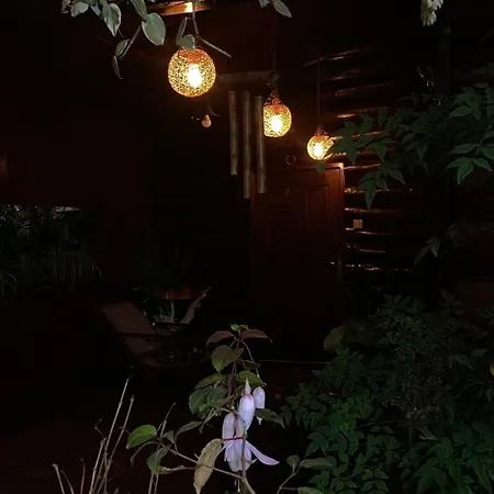 Guest house Twinkle