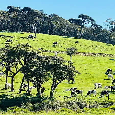 The Cottage Ambewela - Discover Horton Plains & Ella Train Journey Country house *