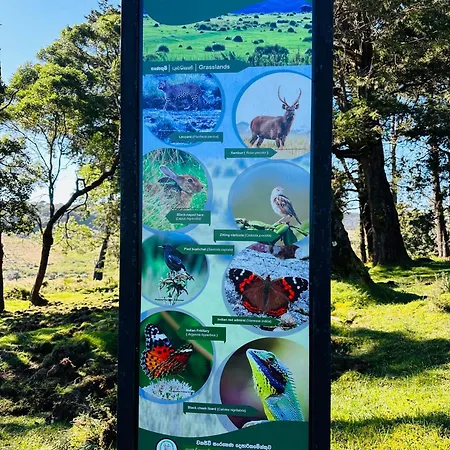 The Cottage Ambewela - Discover Horton Plains & Ella Train Journey * Nuwara Eliya