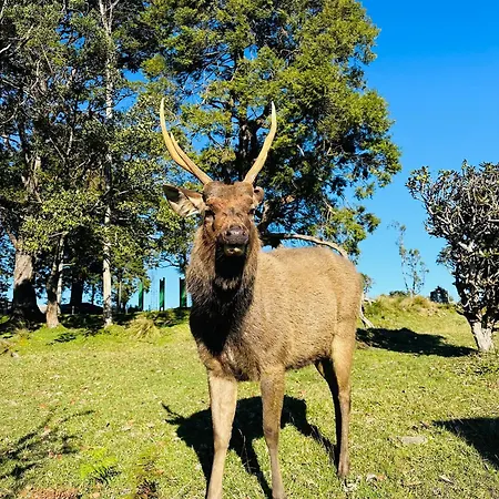 The Cottage Ambewela - Discover Horton Plains & Ella Train Journey *