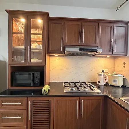 Golden Lion Luxury Residency Apartment