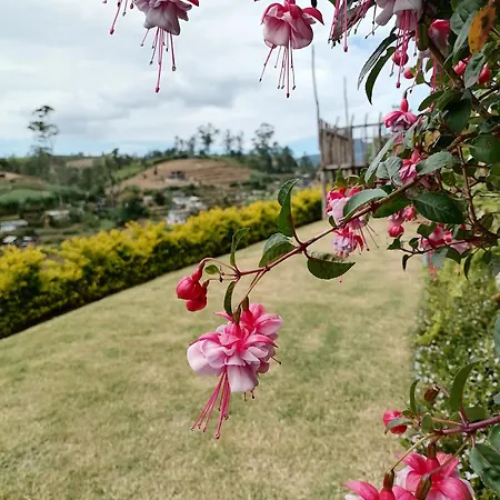 Keshiya Holiday home *