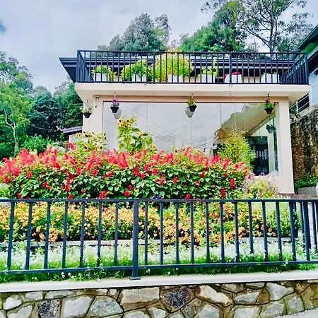 Clover Villa