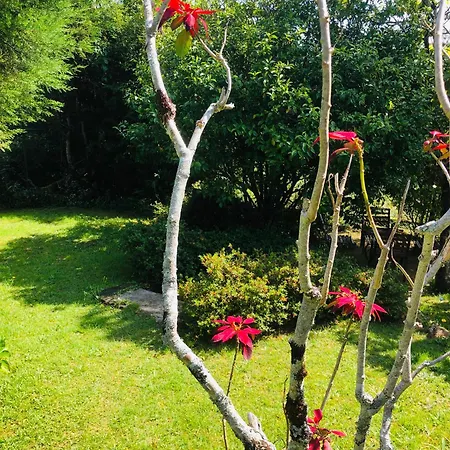 Tranquil Garden 3*