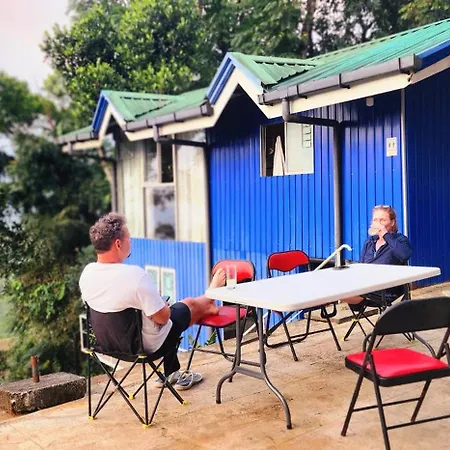 Kithul * Nuwara Eliya
