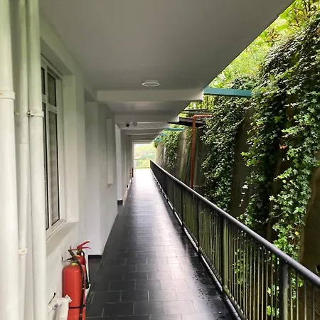 Growing Beyond Apartment *