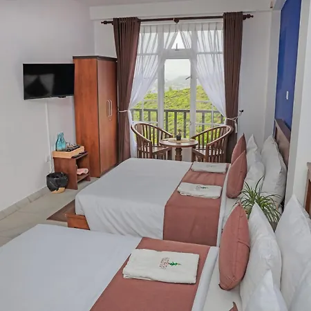 Hotel The Mount View Single Tree *