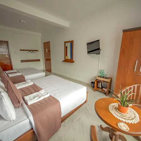 Hotel The Mount View Single Tree