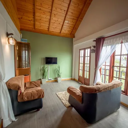 The Mount View Single Tree Hotel