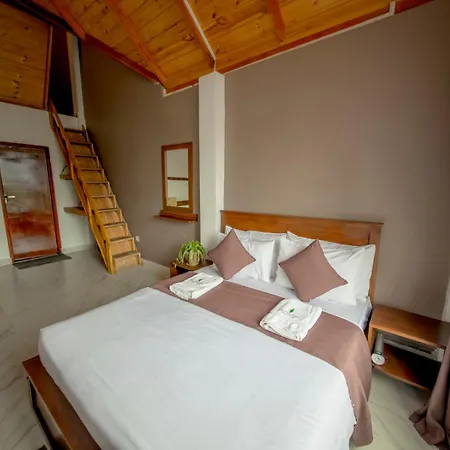 Hotel The Mount View Single Tree *